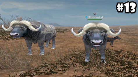 Wild Animals Online Group Of Buffalo Androidios