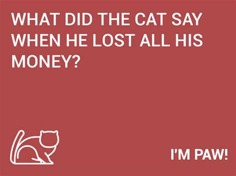 10 Short Jokes About Cats That Are Easy To Remember Page 5 Joke Of