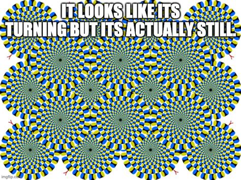 Optical Illusion Imgflip