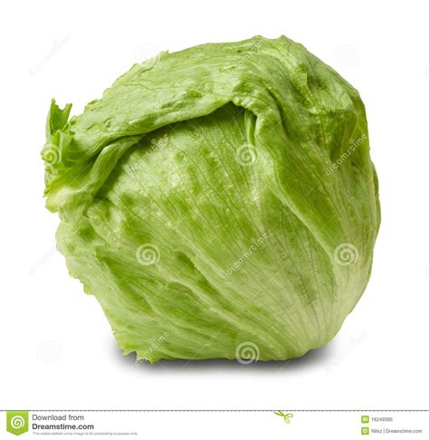 Head Of Lettuce