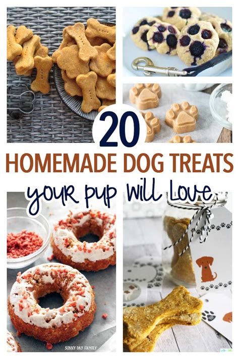20 Simple Homemade Dog Treats Your Pup Will Love Sunny