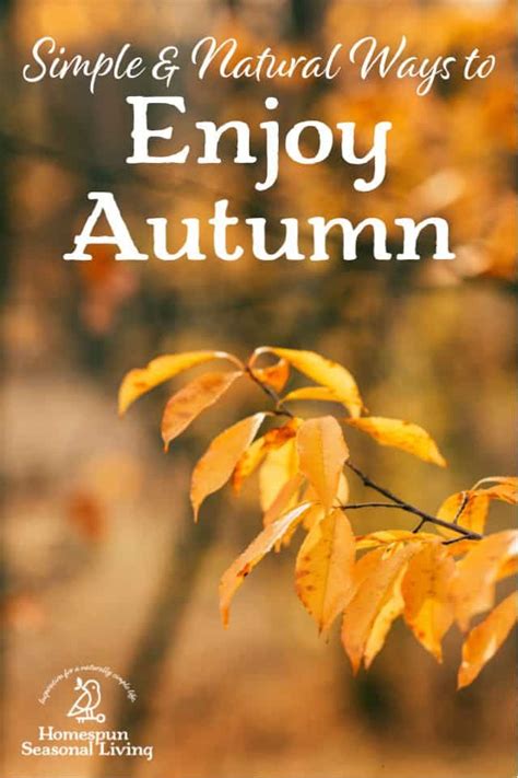 10 Ways To Enjoy Autumn Autumn Enjoyment Fall Fun