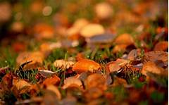 Dont Waste Time Guessing Confirm Lowes Opening Hours Today