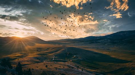 Hills Landscape Under Cloudy Sky And Flying Birds During