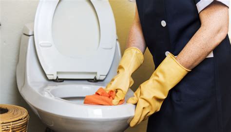 ¿cómo Se Realiza De Forma Profesional La Limpieza De Los Baños En Un