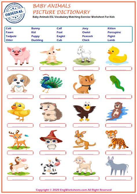 Handouts About Animals English Esl Worksheets For 9da