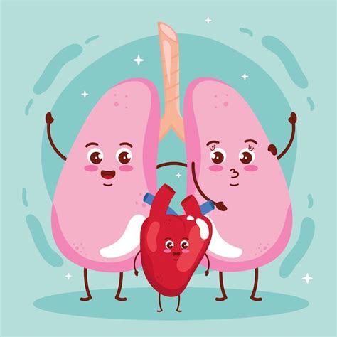 Premium Vector Lungs And Heart Cute Organs Character