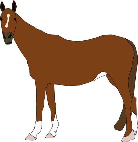 Horse Animal Equine Free Vector Graphic On Pixabay