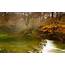 Nature Landscape River Forest Trees Stones Wallpapers HD / Desktop 
