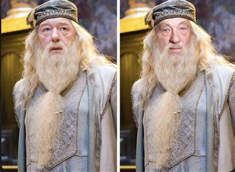 Do You Think Sir Ian Mckellen Would’ve Played A Great Dumbledore R Harrypotter