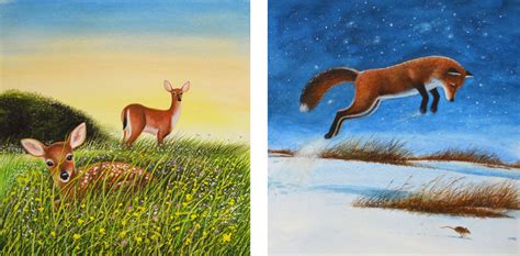 Graceful White Tailed Deer And Crafty Red Fox ∙ Daylight Starlight