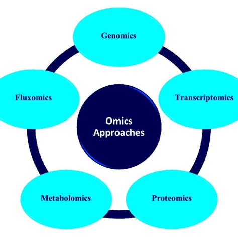 Various Types Of Omics Approaches For Microbial Communities Analyses