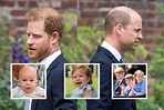 Real Victims of Prince Harry and Prince William's Feud Are Their Children