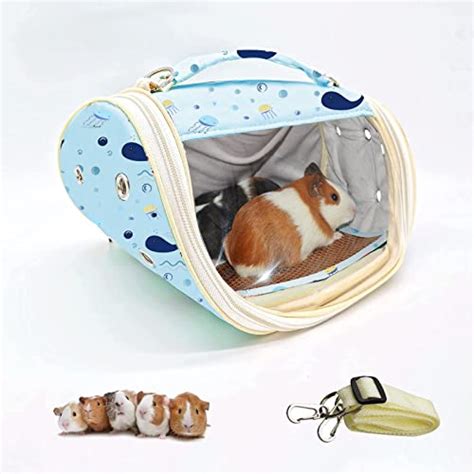 A Guide To The Best Guinea Pig Travel Carrier In 2023