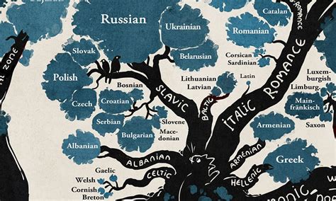 This Amazing Tree That Shows How Languages Are Connected Will Change