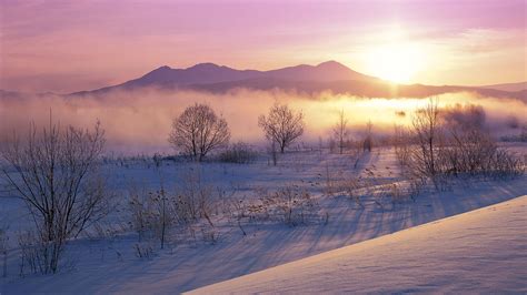 Snowy Dawn Landscape Near Hokkaido Japan Desktop Wallpaper