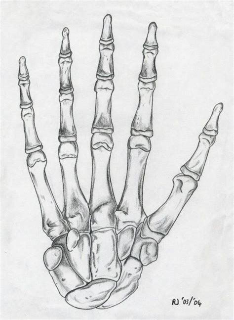 Skeleton Hand Drawing