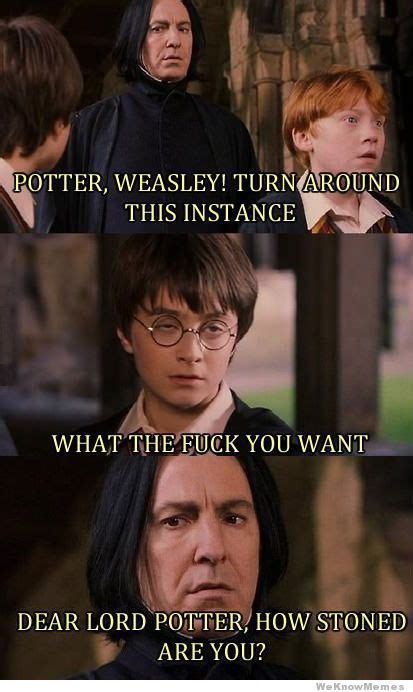 stoned potter harry potter pictures harry potter funny