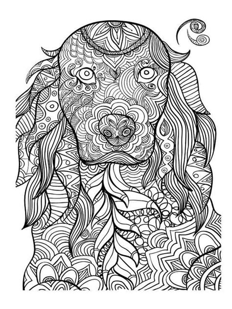 Animals Coloring Pages For Adults
