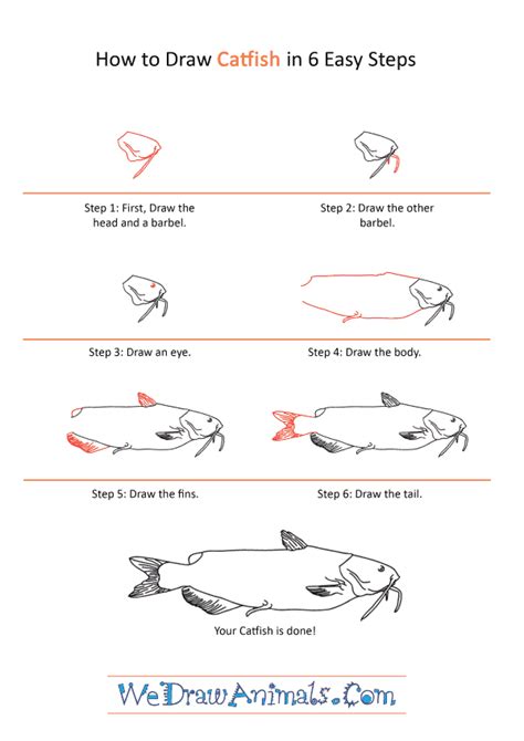 These fish arent able to survive well in waters that get to temperatures. How to Draw a Realistic Catfish
