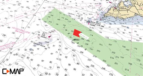 Sod solutions has empire turf and innovation zoysia plugs for sale online. C-MAP Featured Hotspot: The Race - On The Water