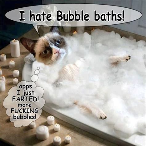 Oopppsss More Bubbles Haaa Haaa Grumpy Cat Grumpy Cat Humor Funny Character