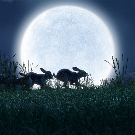 Watership Down Netflix