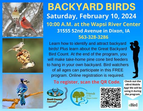 Backyard Birds | Scott County, Iowa