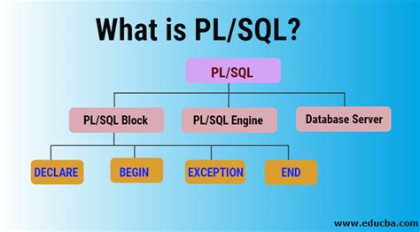 PL SQL是什么 综合指南PL SQL与优势 金博宝官网网址