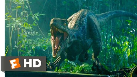 Jurassic World Fallen Kingdom 2018 Reunited With Blue Scene 210