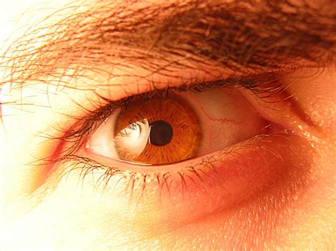 Eye Angry Free Photo Download Freeimages