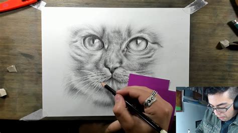 Dibujando Un Gato Realista A Lápiz Youtube