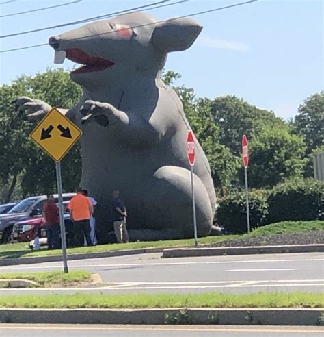 Giant Rat Is Back At Ocean County Mall Ocean County Scanner News