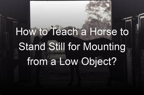 How To Teach A Horse To Stand Still For Mounting From A Low Object