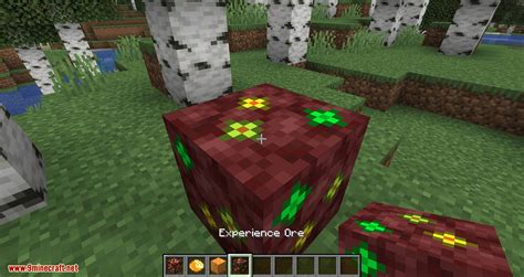 May 25, 2021 · ores and resources structures. More Ores In ONE Mod 1.16.1/1.15.2 - Minecraft Mod Download