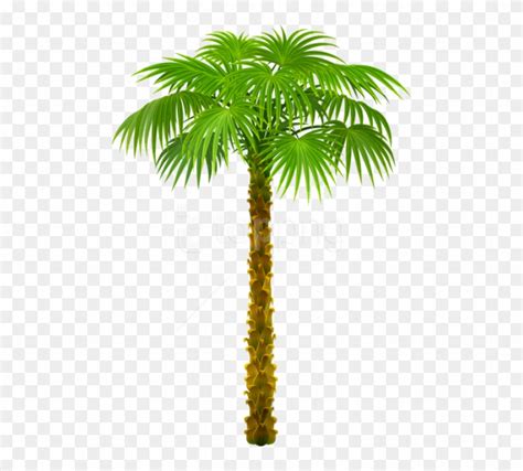 Free download 40 best quality palm sunday clipart free at getdrawings. free clipart no background 10 free Cliparts | Download ...