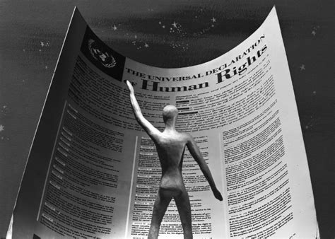Onu Publica Textos Explicativos Sobre Cada Artigo Da Declaração Universal Dos Direitos Humanos