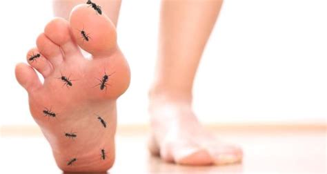 It is generally caused by some hidden infection in the body. Pins and needles in feet - causes and remedies ...