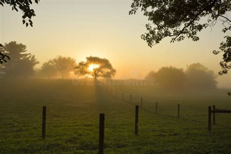 Sunrise On Farm Field Stock Image Image Of Yellow Colorful 159963819