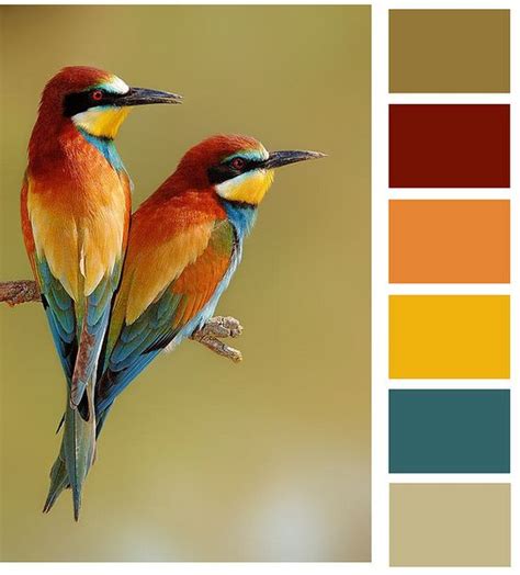 17 Nature Inspired Color Palettes Next Level Interiors
