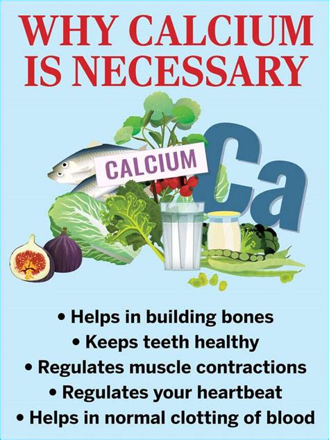 Include These Nutrient Rich Foods In Your Diet To Boost Your Calcium Intake Penmai Community Forum