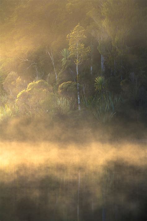 Morning Mists William Patino Photography