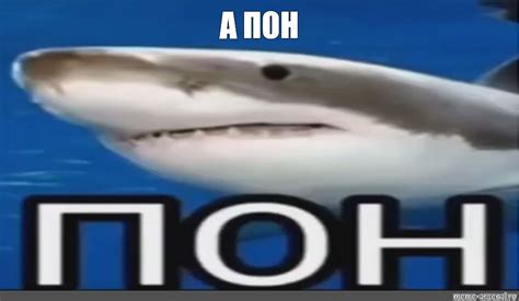 Создать мем акула пон мем мем с акулой акула скат Картинки Meme