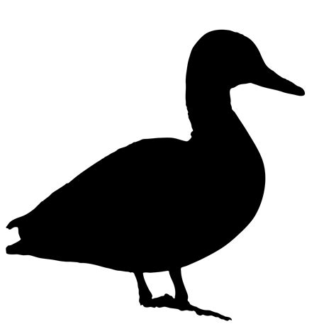 Duck Black Silhouette Free Stock Photo Public Domain Pictures
