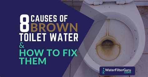 8 Causes Of Brown Toilet Water And How To Fix Them