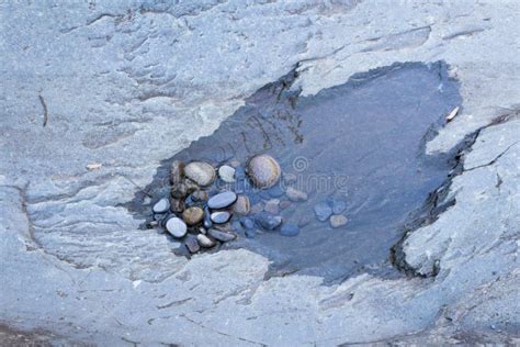 Small Puddle With Pebbles In Grey Rock Formation Stock Image Image Of