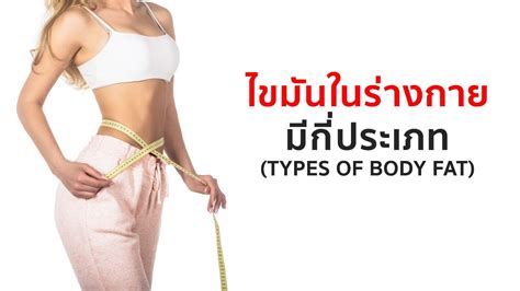 ไขมันในร่างกายผู้หญิง มีกี่ประเภท สรุปเนื้อหาที่อัปเดตใหม่เกี่ยวกับผิว มี กี่ ประเภท