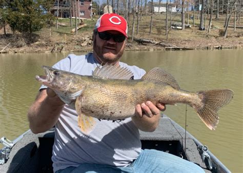 New State Record Saugeye Caught Kentucky Department Of Fish And Wildlife