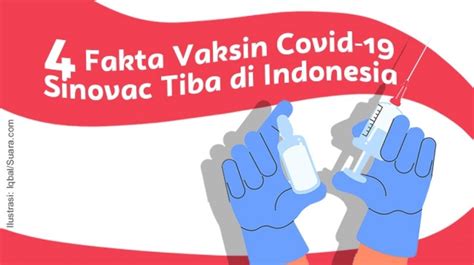 Syaratnya hanya perlu datang ke lokasi dengan membawa ktp jadetabek (jakarta, depok, tangerang, bekasi). INFOGRAFIS: 4 Fakta Vaksin Covid-19 Sinovac Tiba di Indonesia