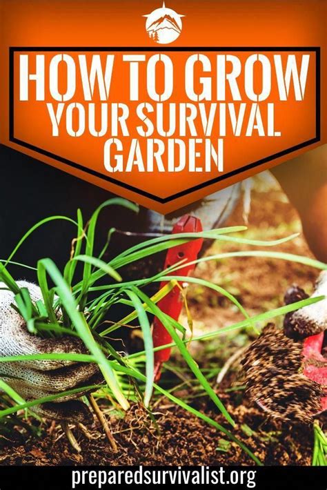 Survival Garden Valuable For When You Live Off Grid Provide For Your